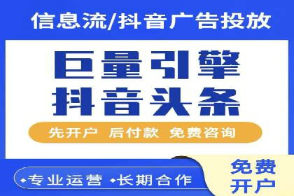 XX行业竞价广告的投放策略与效果分析